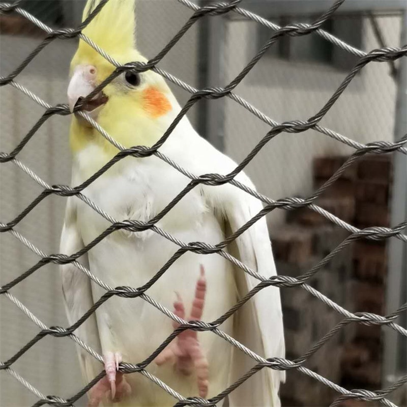 stainless steel ferrule rope mesh