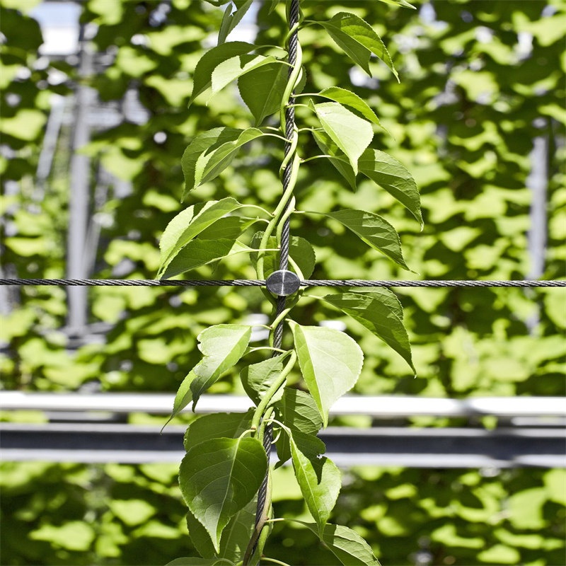 Green facades X-tend mesh