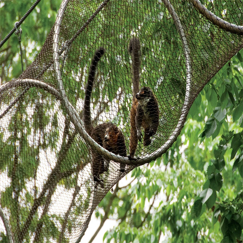 Stainless steel rope mesh fence