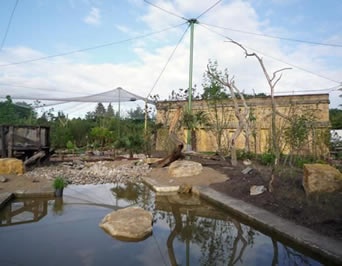 A large aviary netting covering ponds and trees is main to create a natural living environment to birds.