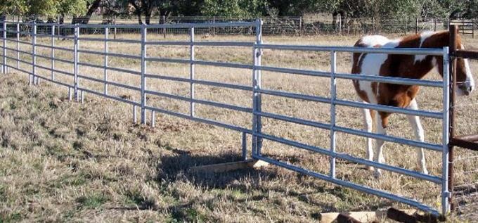 Corral Fence Panels