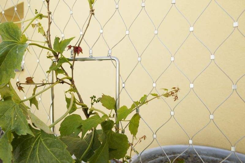 Stainless Steel Woven Cable Wire Rope Mesh For Plant Climbing/Decorative Rope Mesh For Green Wall