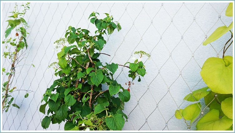 Stainless Steel Wire Rope Mesh 100*100mm Cable Mesh Green Plant Climbing Trellis Wall Mesh For Garden