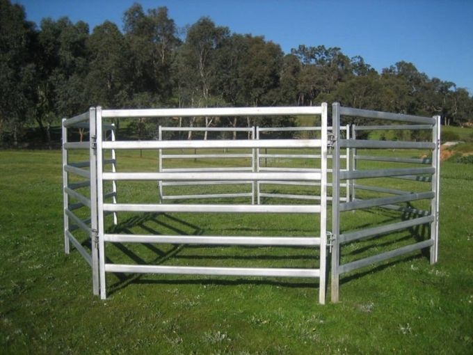 Six Bars Heavy Duty Metal Oval Rai Portable Corral Panels For Cattle