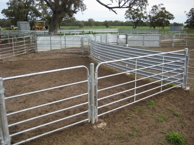 sheep panels for sale 1
