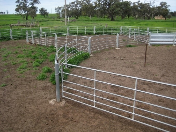sheep panels for sale 2