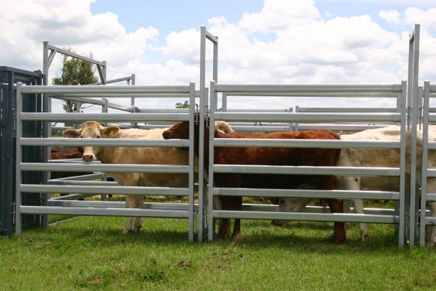 Heavy Duty 25pcs Bundle Heavy Duty Cattle Corral Panels For Sale & Gate for Au
