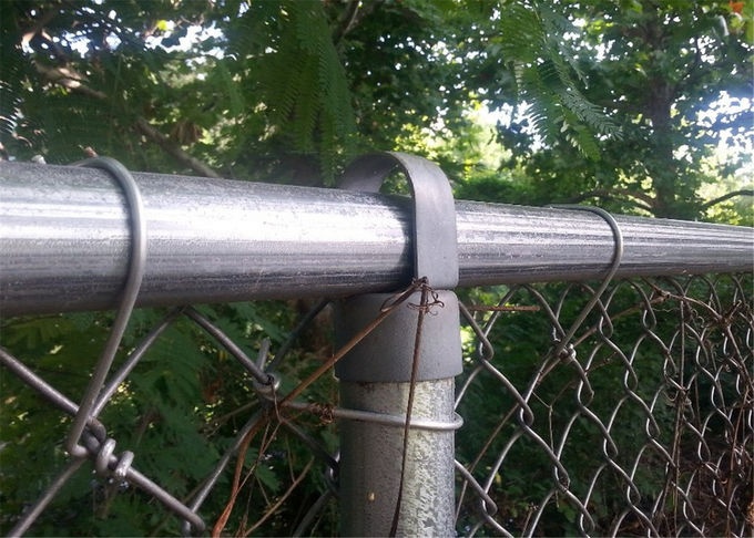 Wire Mesh Fence/Wire Fencing /PVC Coated Chain Link Fence 2