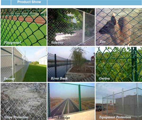 Galvanized Chain Link Fence / PVC Coated Chain Link Fence