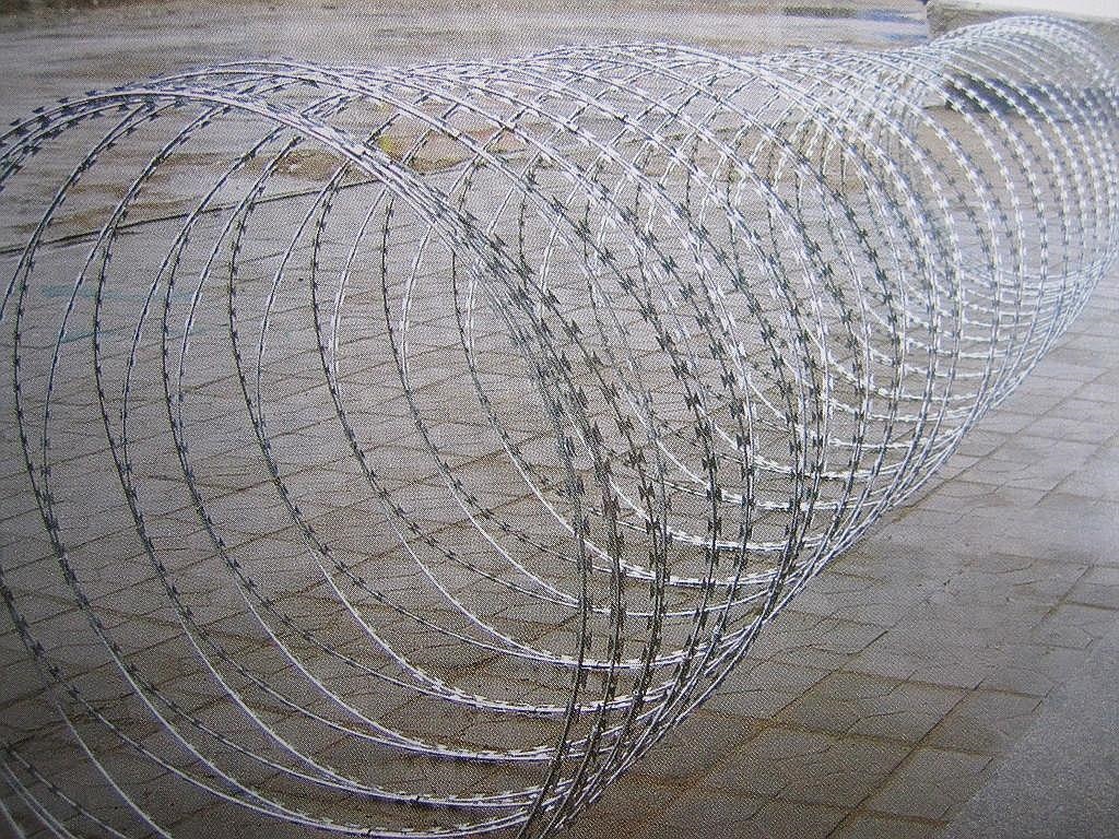 security fencing razor barbed wire/razor combat wire/safety razor wire professional manufacturer