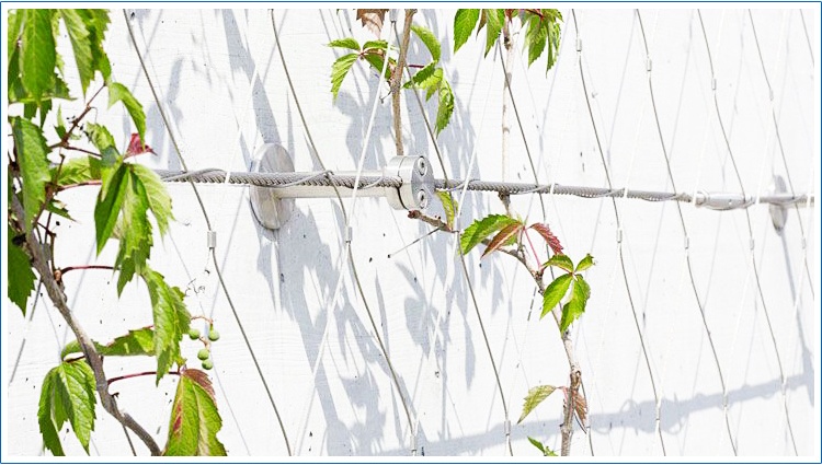 Stainless Steel Wire Rope Mesh 100*100mm Cable Mesh Green Plant Climbing Trellis Wall Mesh For Garden
