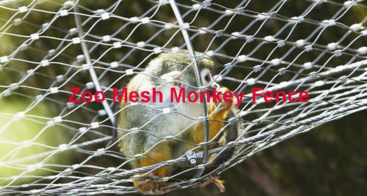 Animal Zoo Stainless Steel Wire Protective Cable Rope Mesh / Cable Mesh Green Plant Climbing Trellis Walls 3