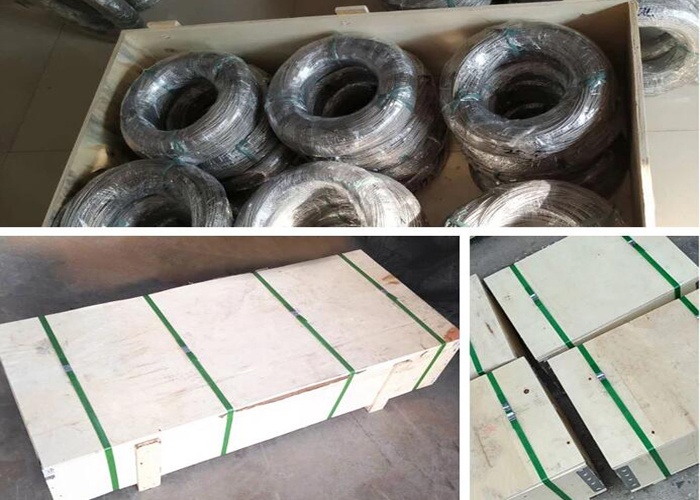 flexible stainless steel cable netting