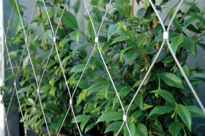 Flexible Inox Wire Rope Plant Trellis , Plant Climbing Green Wall Mesh