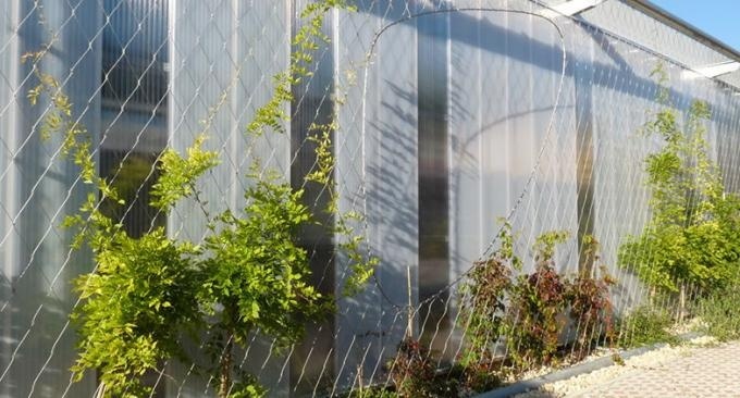 Flexible Inox Wire Rope Plant Trellis , Plant Climbing Green Wall Mesh