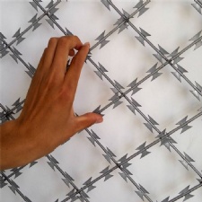 Razor mesh fencing