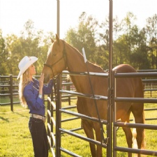 Horse Fence Panels