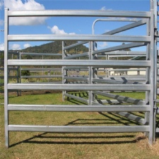 cattle panel fence