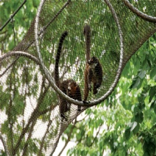 Bird aviary wire mesh