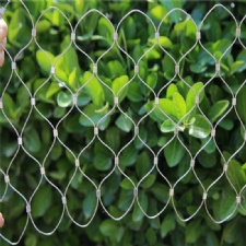 Green wall stainless steel cable mesh plant support