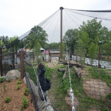 Stainless steel wire rope zoo aviary mesh For Zoo enclosure